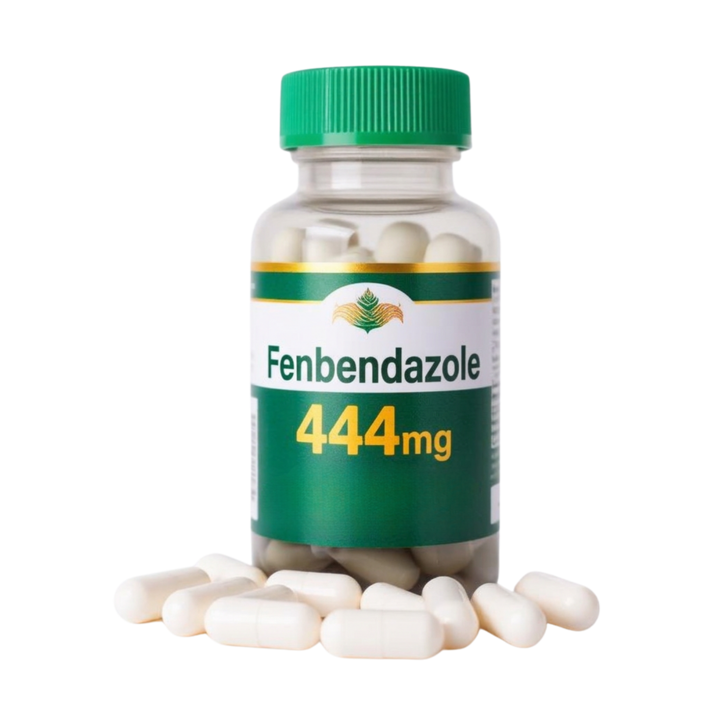 AUS-FENZ X100